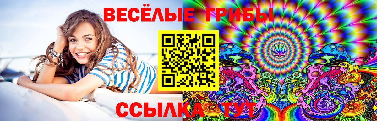 Псилоцибиновые грибы прущие грибы Курчатов