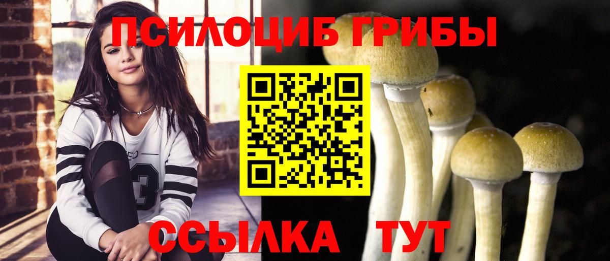 Псилоцибиновые грибы GOLDEN TEACHER  Галлюциногенные грибы мухоморы  Курчатов  Вход с VPN 